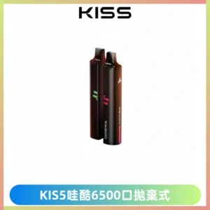 KIS5WAGOO哇酷6500口拋棄式 | 自由混搭雙口味 | 雙芯組合