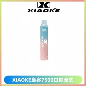 XIAOKE梟客7500Puffs跑馬燈拋棄式電子煙 可發光一次性